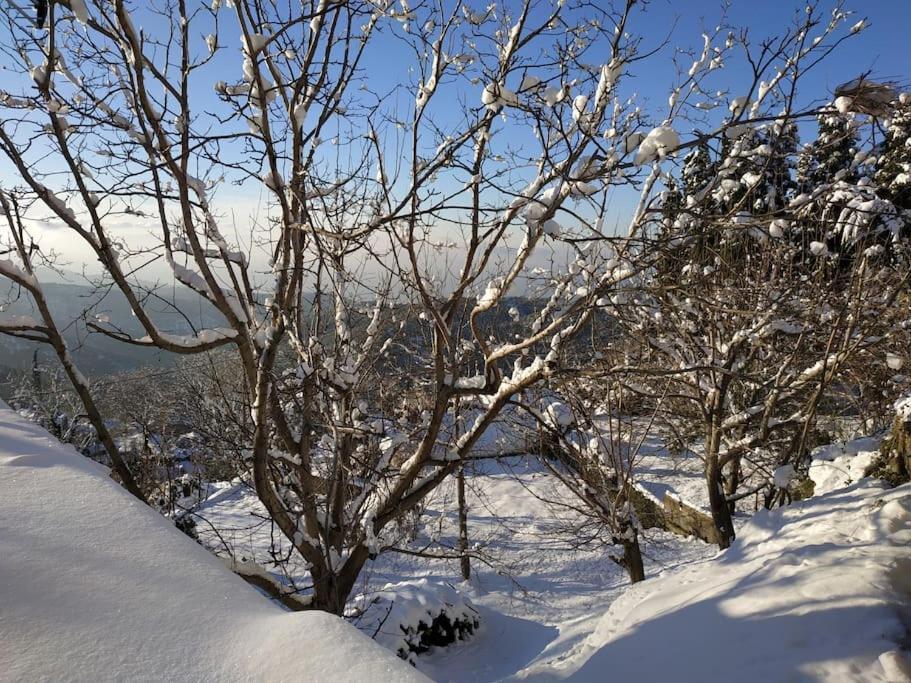 Mountain And Sea View Villa Miliész Kültér fotó